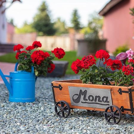 Mona Apartman Sárvár المظهر الخارجي الصورة