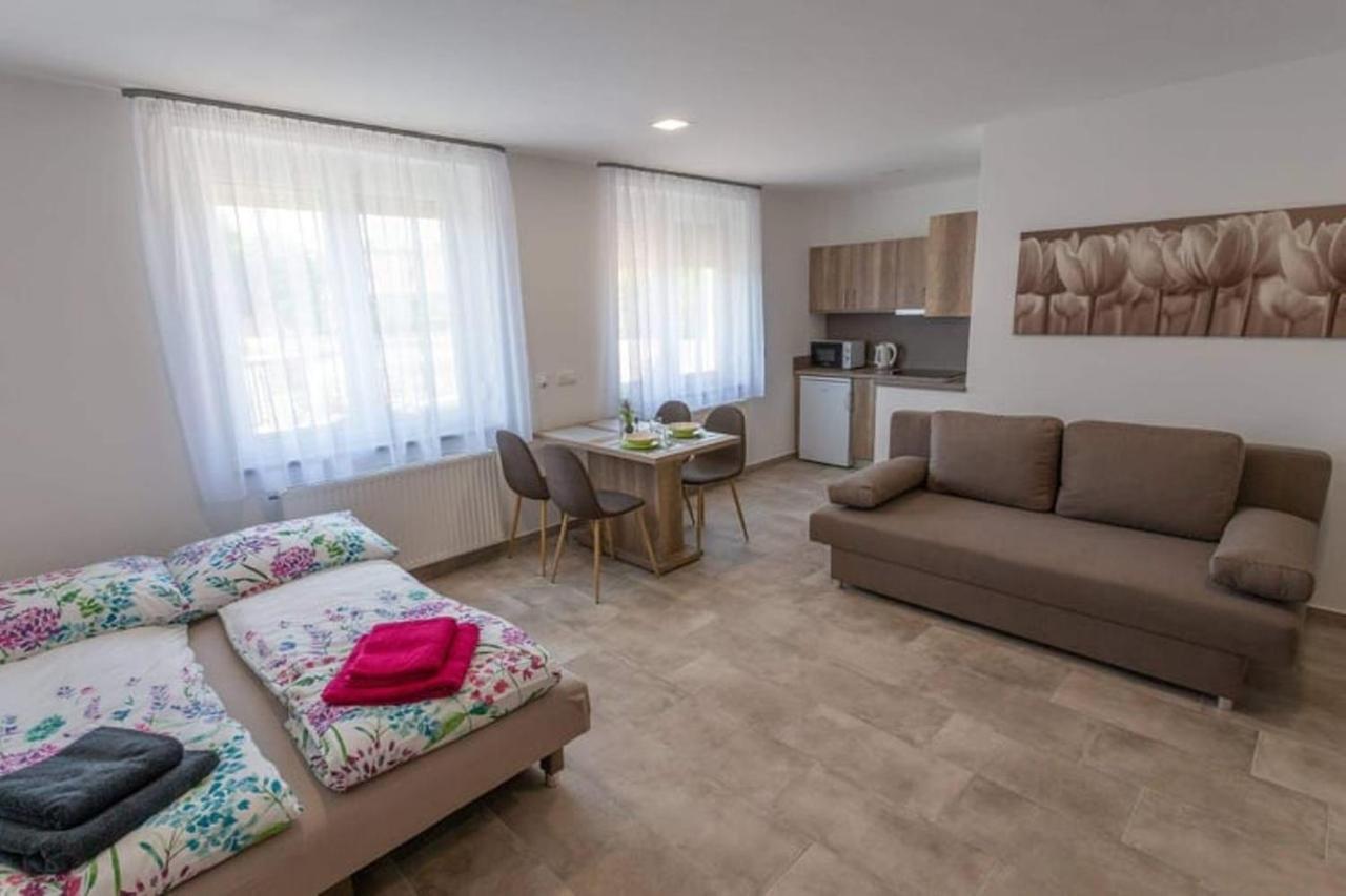 Mona Apartman Sárvár المظهر الخارجي الصورة