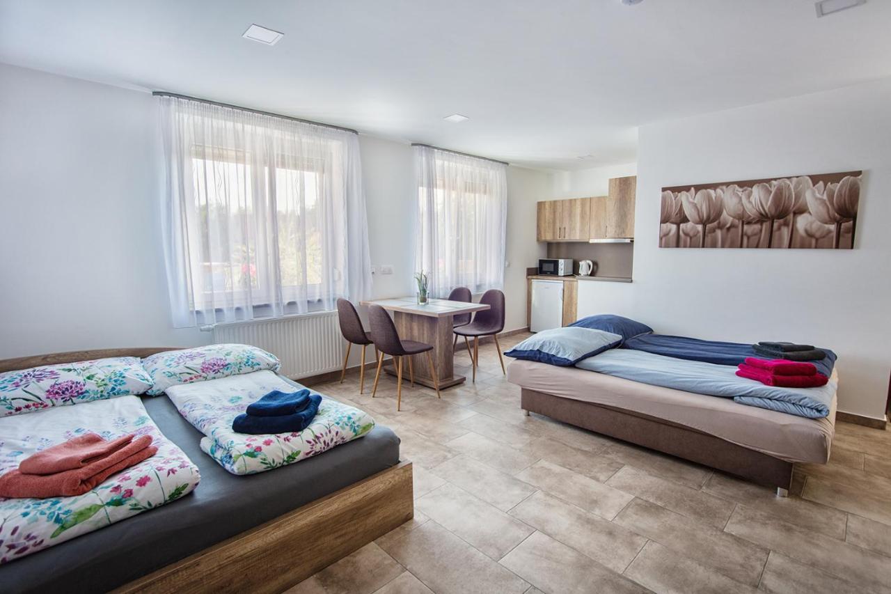 Mona Apartman Sárvár المظهر الخارجي الصورة