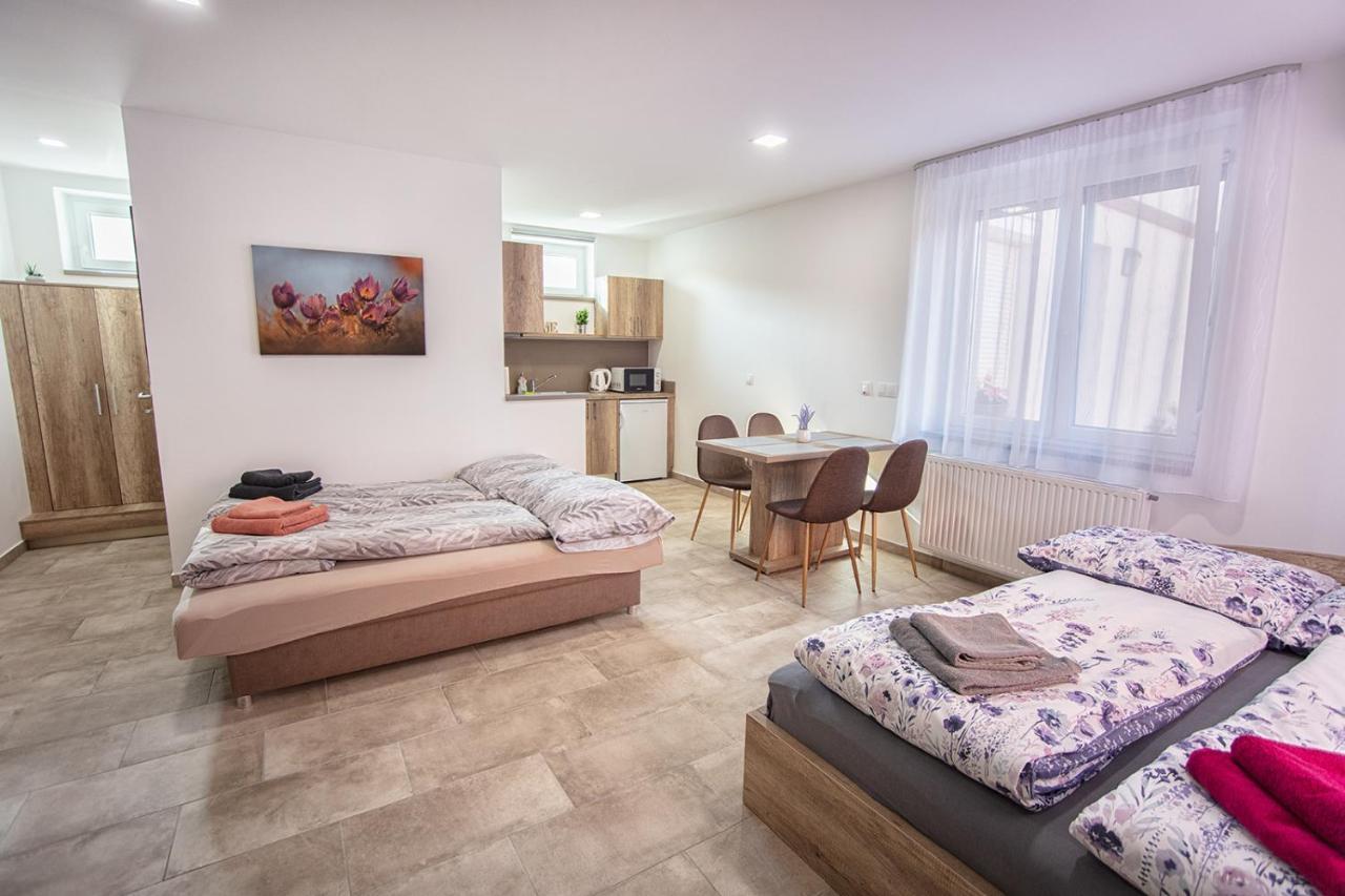 Mona Apartman Sárvár المظهر الخارجي الصورة