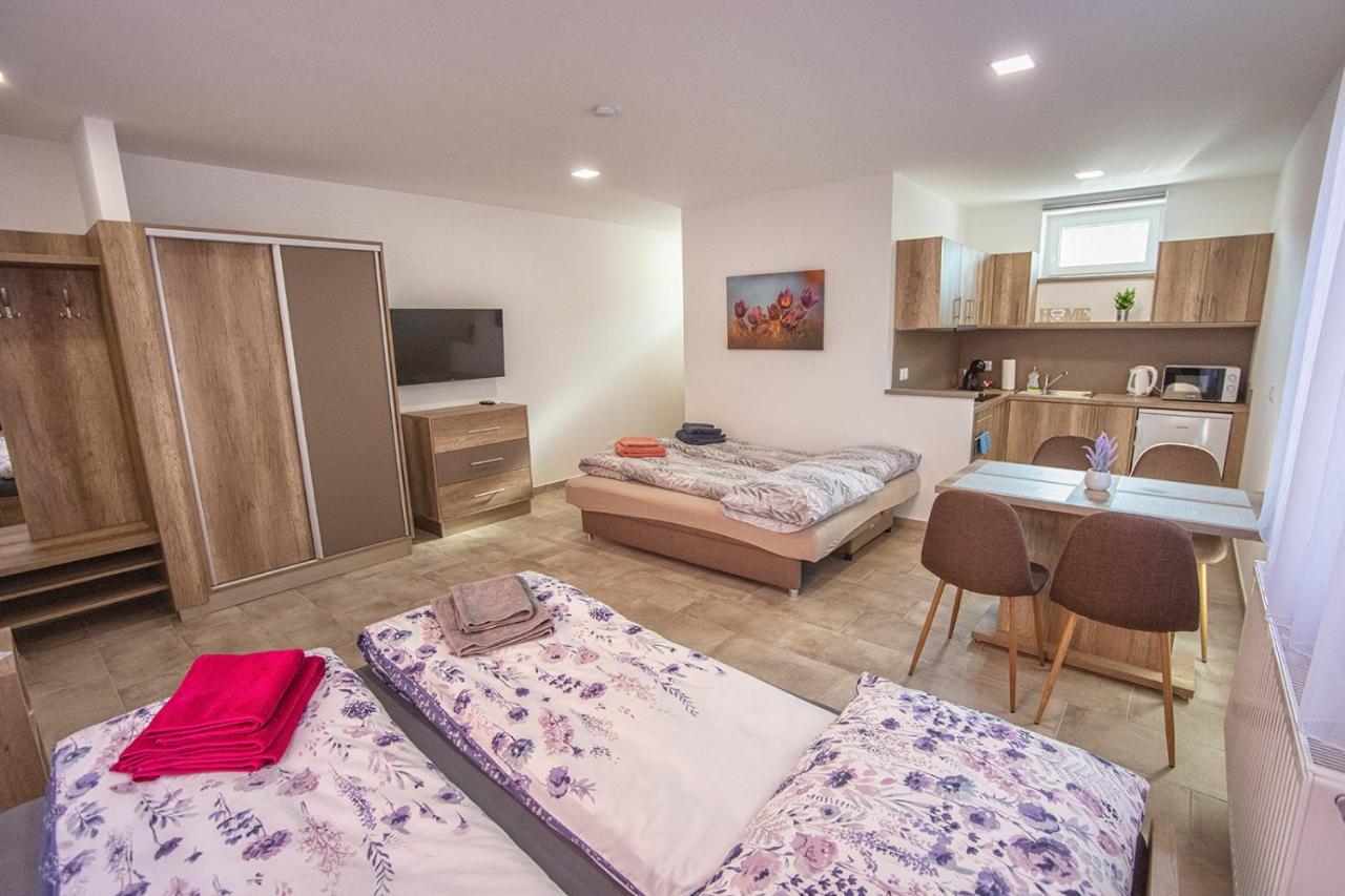 Mona Apartman Sárvár المظهر الخارجي الصورة